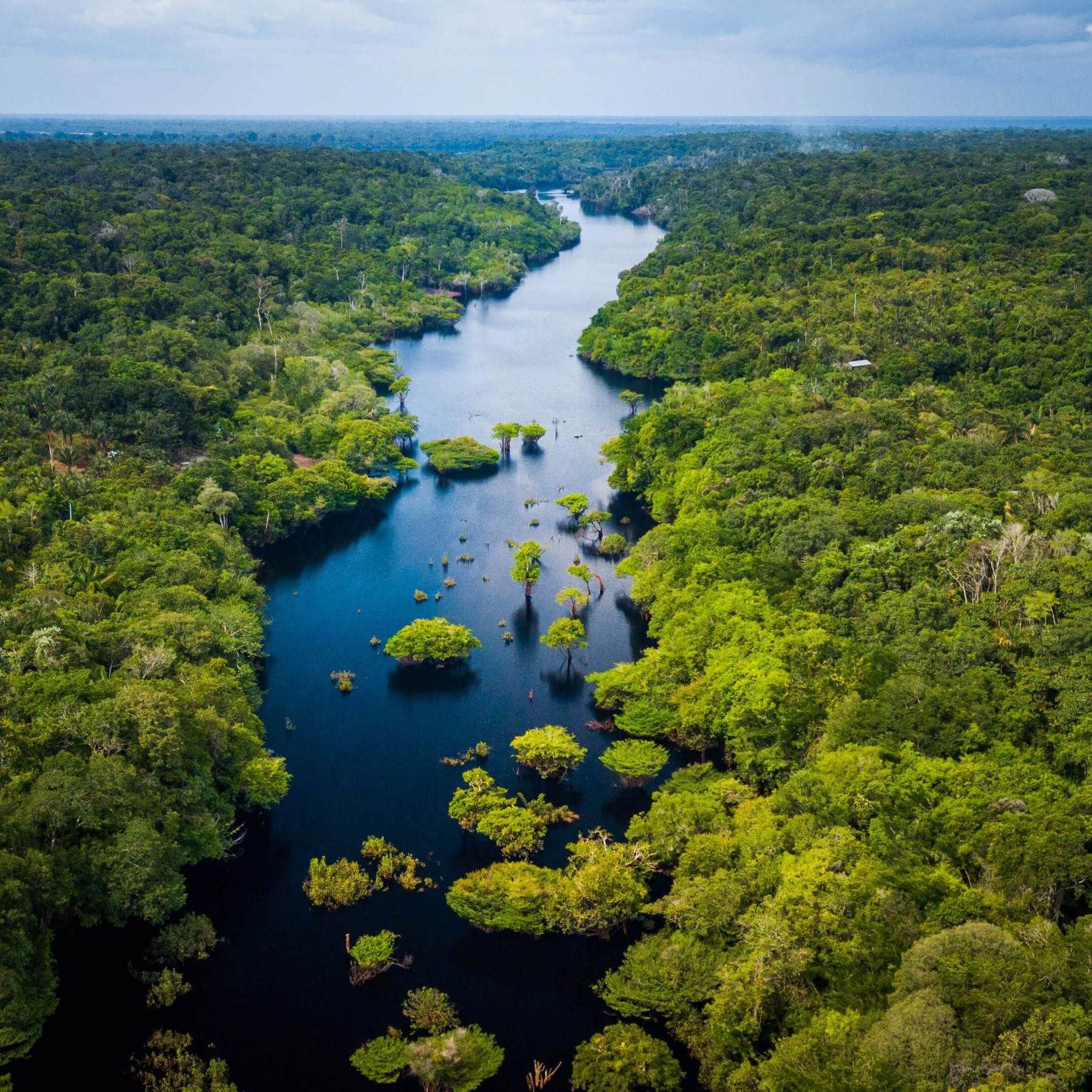 Forêt amazonienne vue du ciel